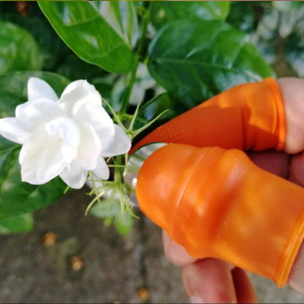 Cueilleur de fruits et légumes de ferme, cueilleur de pointe de cornichon, de poivre, cueilleur de clous en fer, cueilleur de raisin pour verger de jardin et Patch de légumes