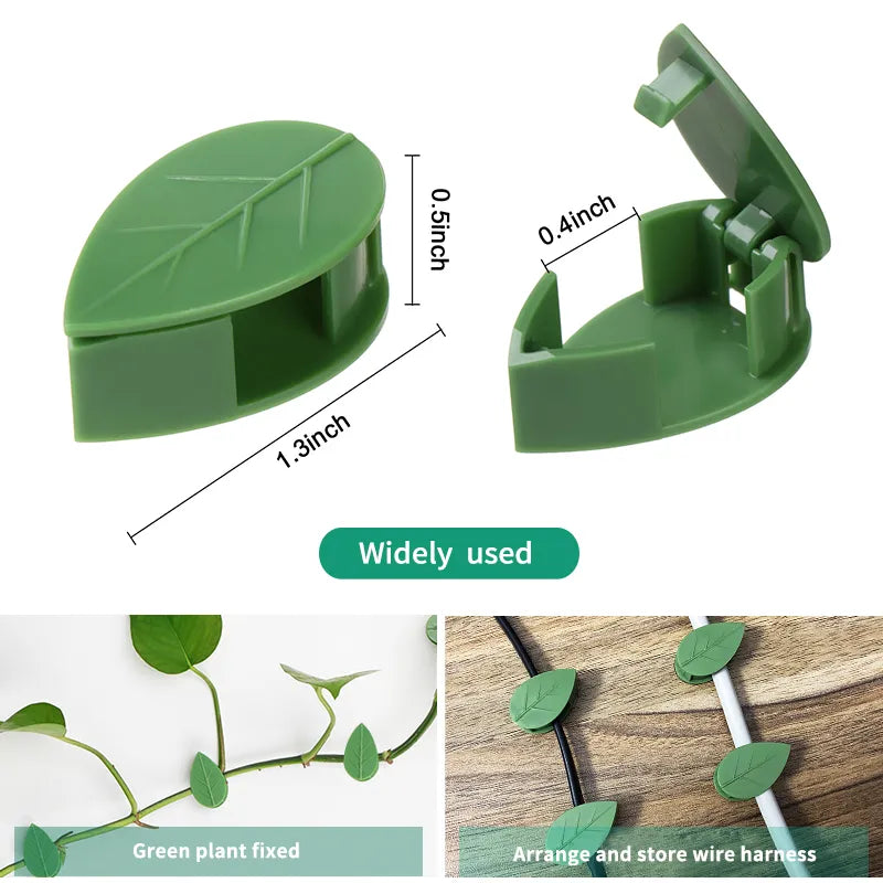 Fixation murale Invisible pour plantes grimpantes, support de vigne en rotin, boucle fixe, Clips à feuilles, support de Traction pour jardin