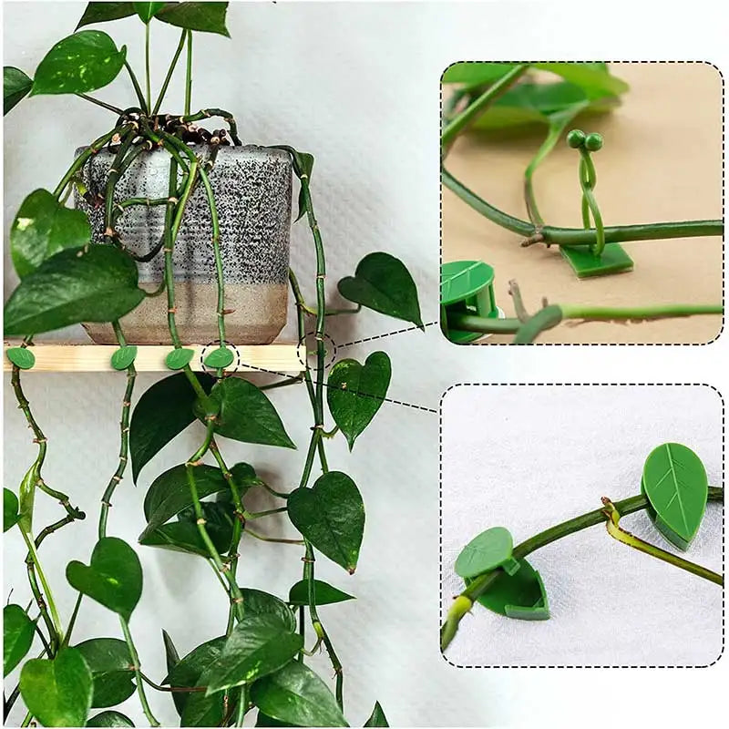 10/30/50Pcs Plant Climbing Wall Fixture Clips Rattan Vine Fixer Self-Adhesive Hook Invisible Garden Binding Clip Wall StickyClip