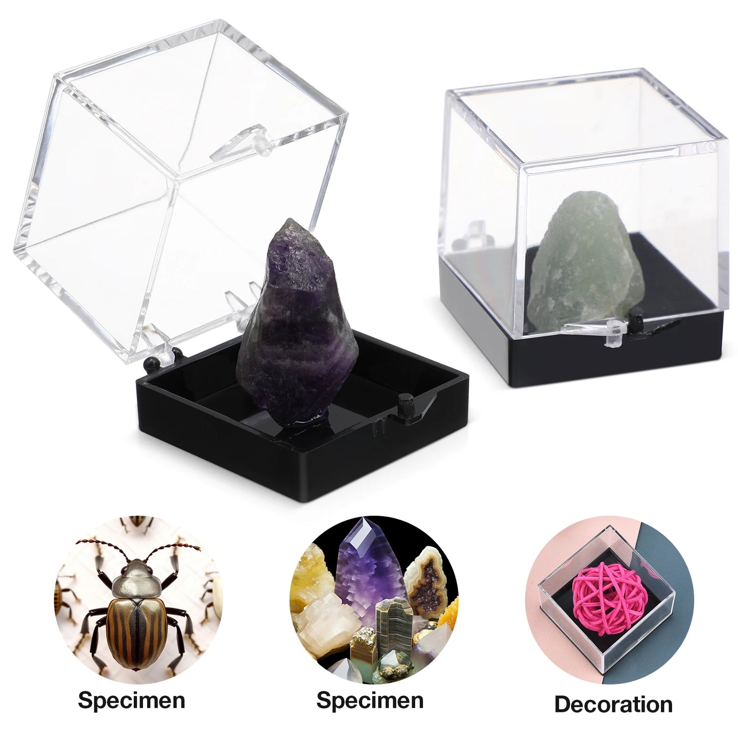 12pcs Plastic Small Standes Mineral Specimen Storage Cases Square Sample Displaying Clear Acrylic Box Specimen Collection Box