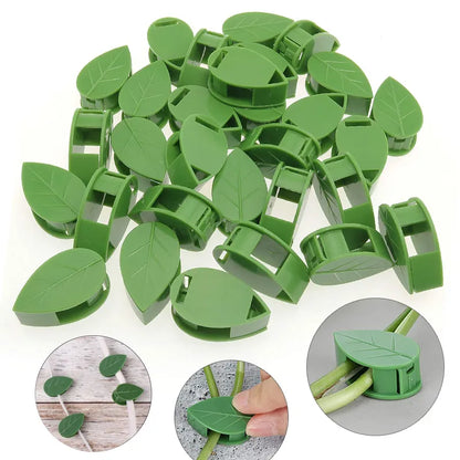 Fixation murale Invisible pour plantes grimpantes, support de vigne en rotin, boucle fixe, Clips à feuilles, support de Traction pour jardin