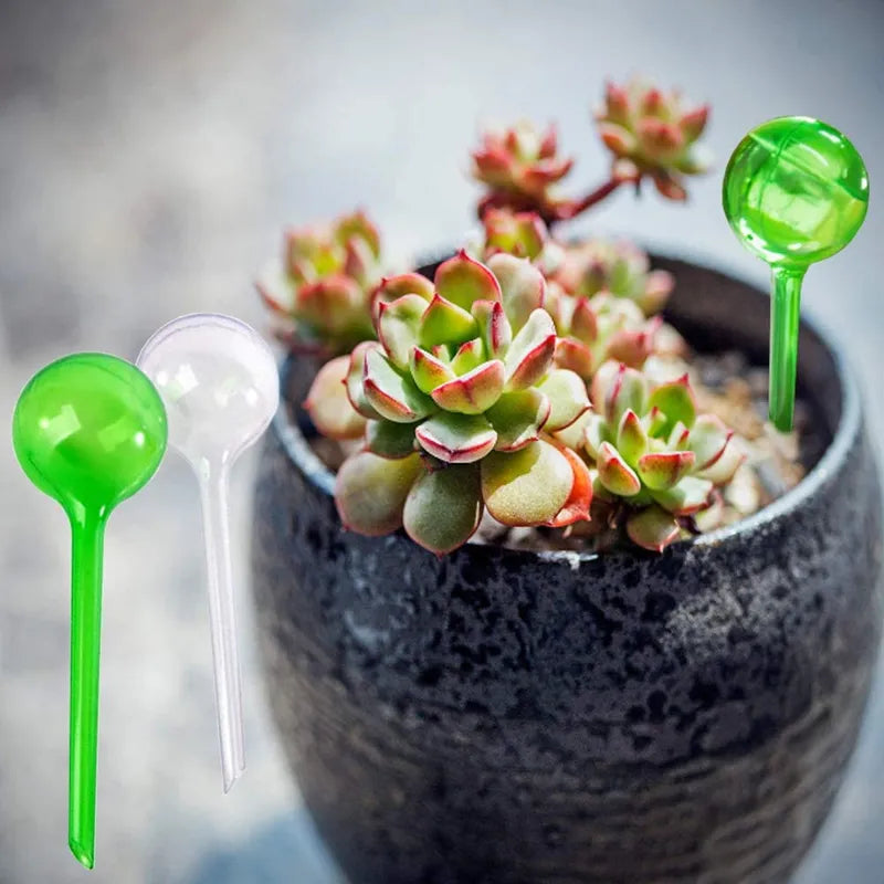 5pcs Automatic Plant Water Feeder Self Watering Plastic Ball Indoor Outdoor Flowers Water Cans Flowerpot Drip Irrigation Device