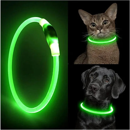 Led ljus Hundhalsband Avtagbart Glödande USB Laddning Lysande koppel för Big Cat Halsband Liten Ljus Labrador Husdjur Hundar Produkter