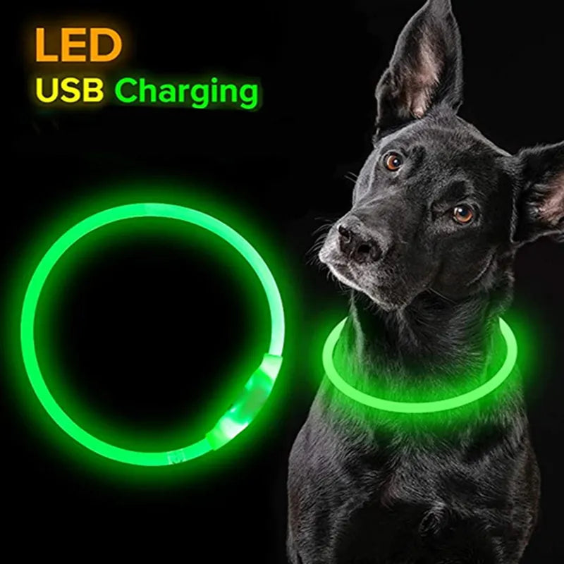 Led ljus Hundhalsband Avtagbart Glödande USB Laddning Lysande koppel för Big Cat Halsband Liten Ljus Labrador Husdjur Hundar Produkter