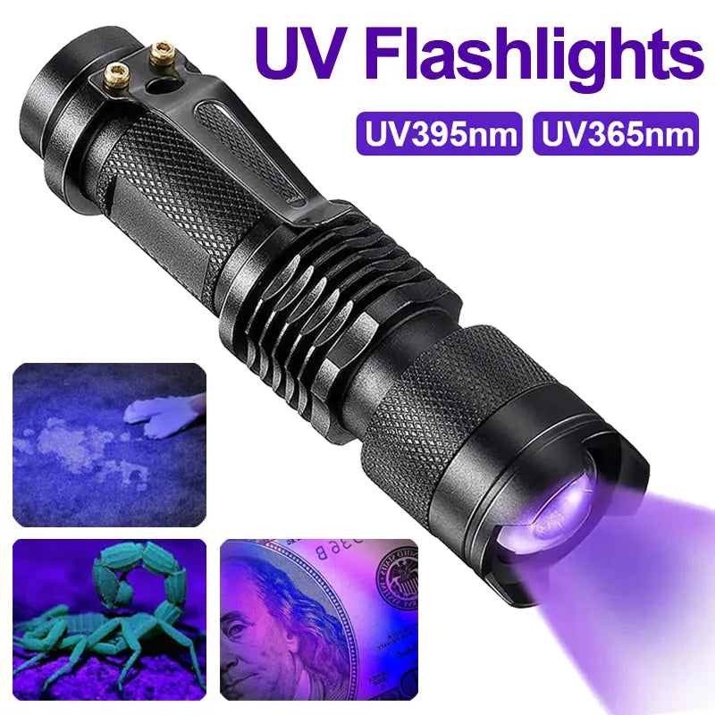 Lampe de poche UV LED 365/395nm, Mini torche ultraviolette Portable, étanche, Zoomable, lumière violette, détecteur d'urine d'animaux domestiques, lampe UV