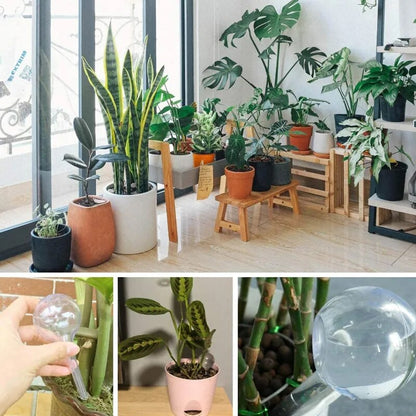 Distributeur d'eau automatique pour plantes, 5 pièces, boule en plastique à arrosage automatique, pour fleurs d'intérieur et d'extérieur, canettes d'eau, pot de fleurs, dispositif d'irrigation goutte à goutte