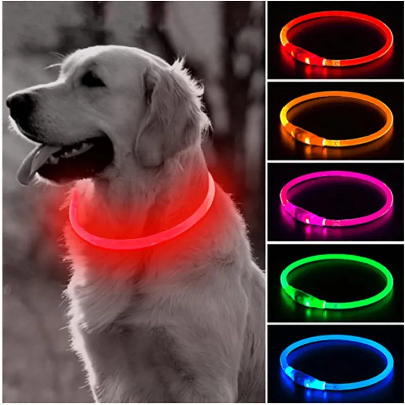 Collier de chien à lumière Led détachable, brillant, chargeur USB, laisse lumineuse pour grand chat, petit collier lumineux pour animaux de compagnie du Labrador, produits pour chiens