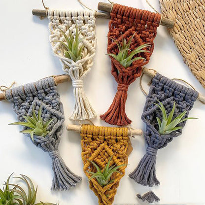 Mini cintres pour plantes en macramé, décoration d'intérieur, pour plantes aériennes