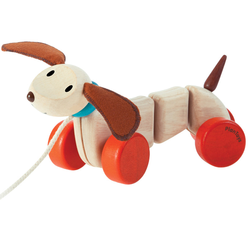 Learning To Walk Wooden Toy Twisting And Dragging Early Education And Puzzle For Dogs