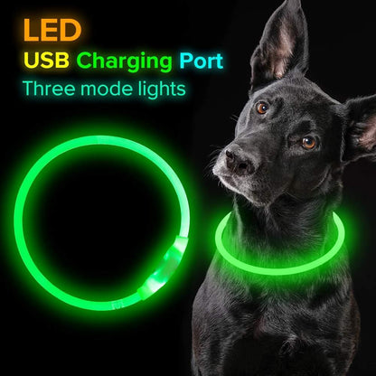 Husdjur blinkande krage USB uppladdningsbart glödande halsband Säkerhet krage Light upp kragar för natt gång elektrisk hund krage neon