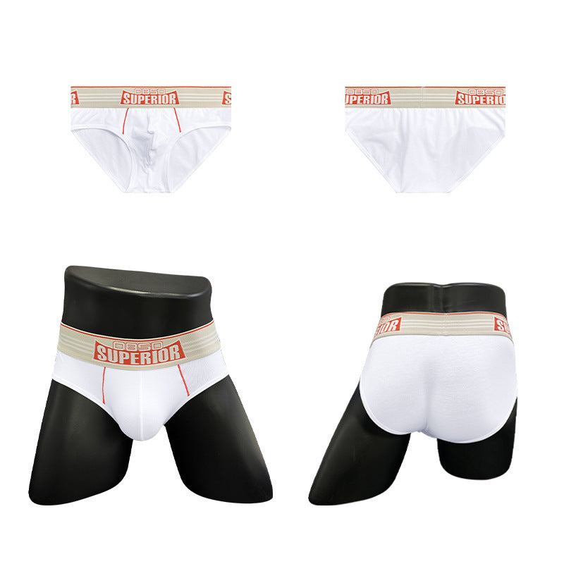 Men's Underwear Low Waist Cotton Sports Fitness Briefs