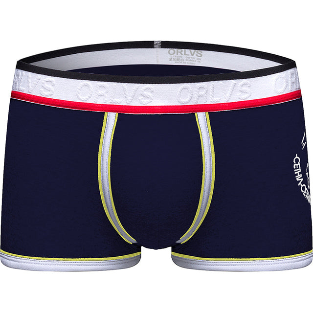 Sous-vêtements pour hommes Boxers Mesh Sous-vêtements confortables et respirants