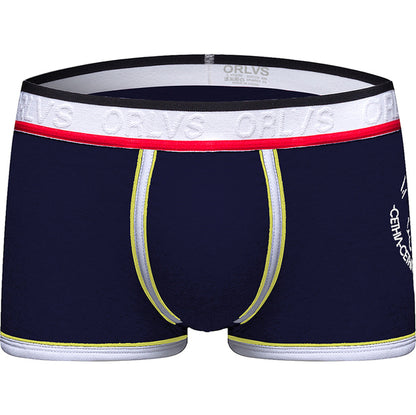 Sous-vêtements pour hommes Boxers Mesh Sous-vêtements confortables et respirants