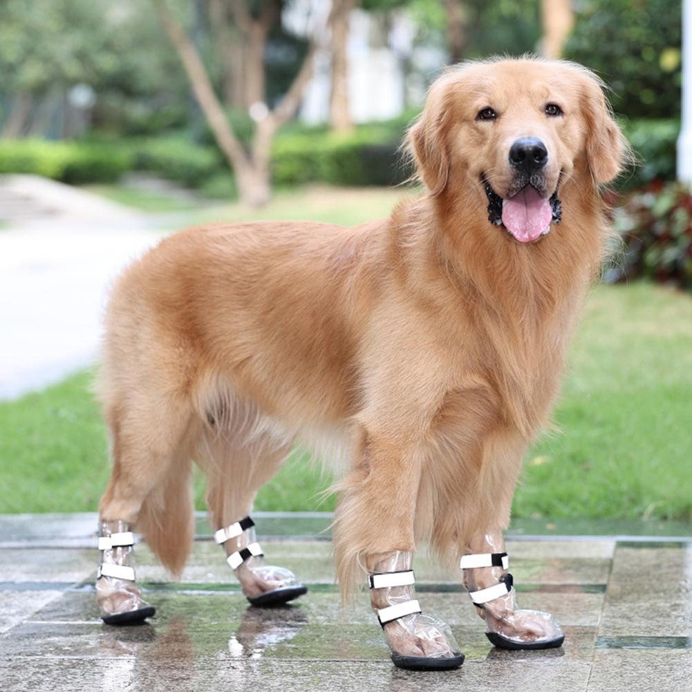 Chaussures imperméables pour animaux de compagnie anti-éclaboussures pour grands chiens