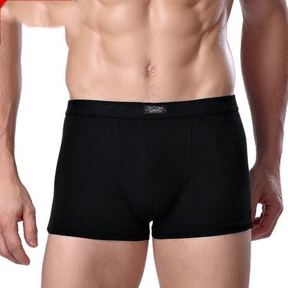 Men's Underwear Men's Boxer Briefs Bamboo Fiber Modal