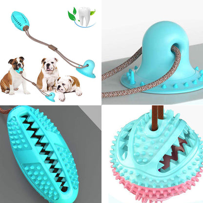 Jouets pour chiens, ventouse en silicone, jouet interactif pour chien, balle à mâcher, morsure, nettoyage des dents, brosse à dents, alimentation, fournitures pour animaux de compagnie 