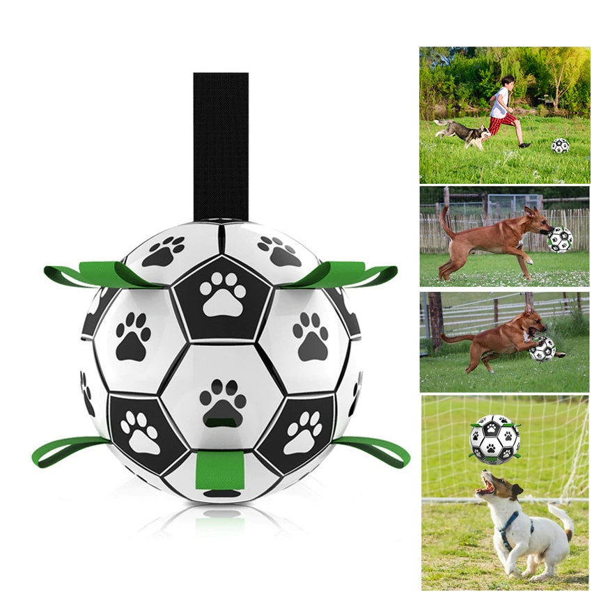 Jouets interactifs de Football pour animaux de compagnie, avec onglets de saisie, entraînement en plein air, balles à mâcher pour animaux de compagnie, accessoires pour chiens 