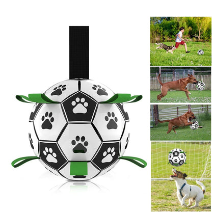 Jouets interactifs de Football pour animaux de compagnie, avec onglets de saisie, entraînement en plein air, balles à mâcher pour animaux de compagnie, accessoires pour chiens 