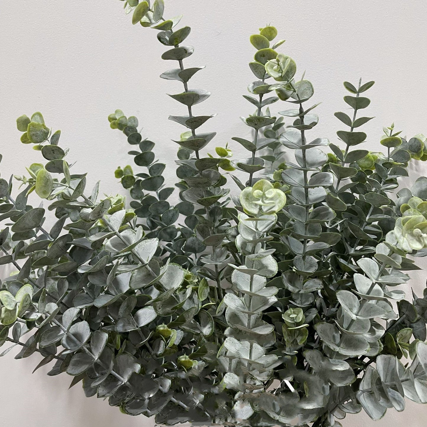 Holiday Entertainment: Green Plants Decoration