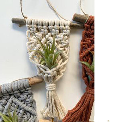 Mini cintres pour plantes en macramé, décoration d'intérieur, pour plantes aériennes