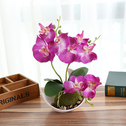Decorative Plants