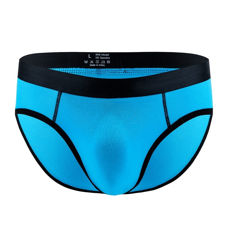 Men's Panties Low Waist Briefs