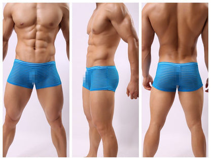 Striped Transparent Boxers For Men