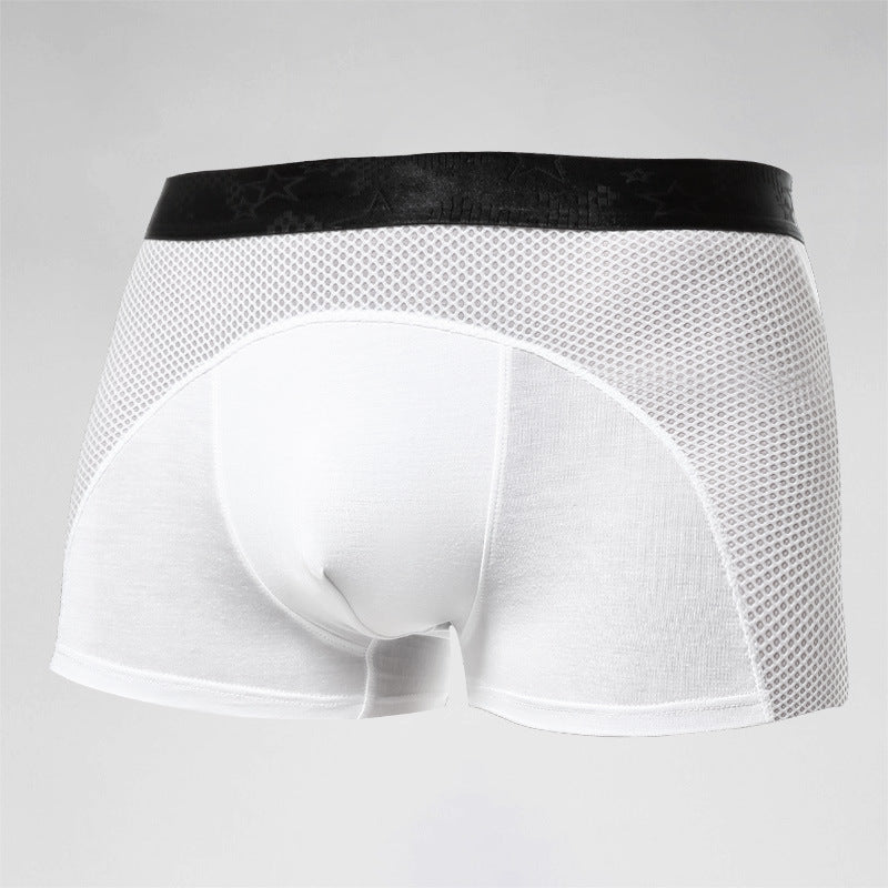 Herrunderkläder Ice Silk Mesh Boxers Sports Boxershorts