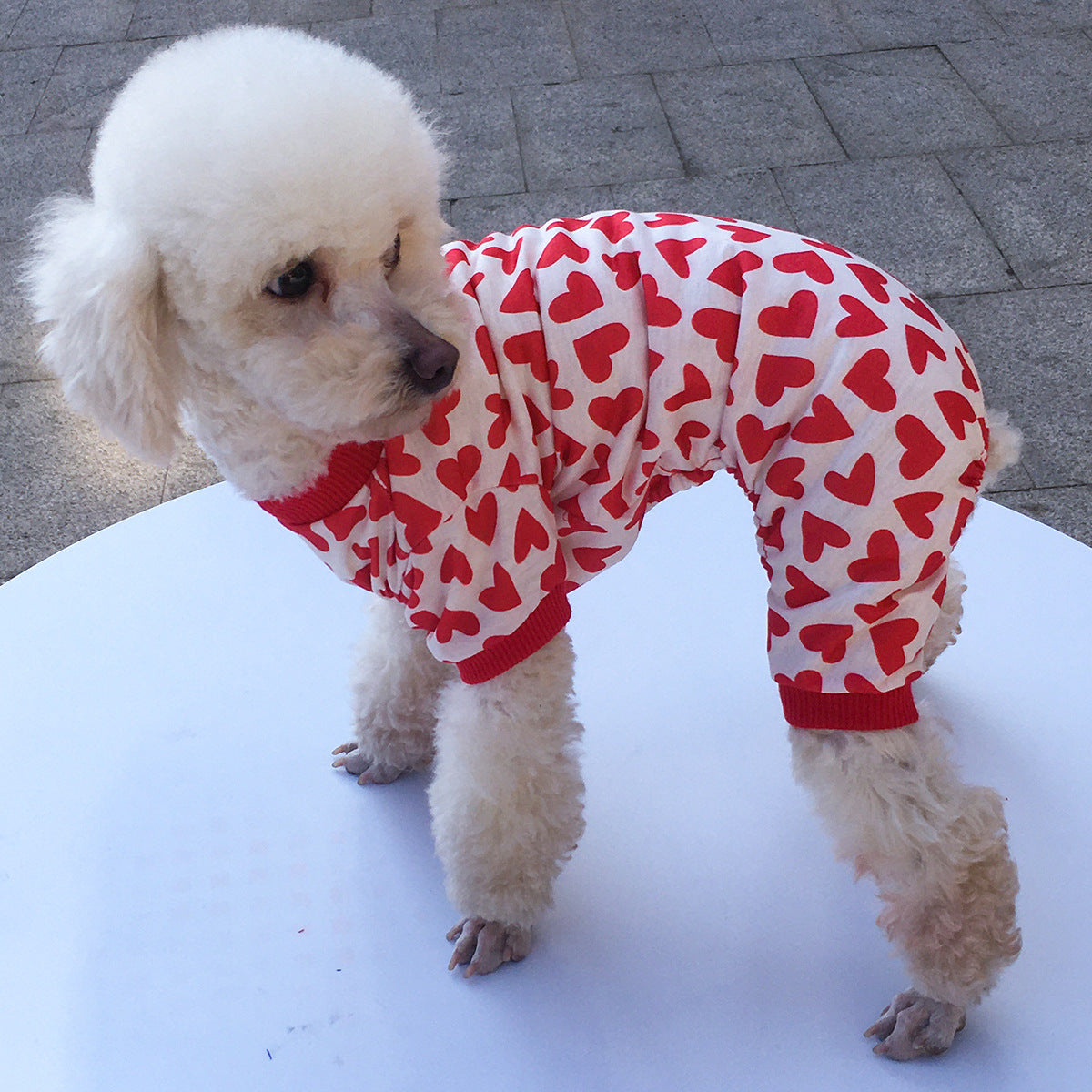 Pet Dog Four-legged Clothing