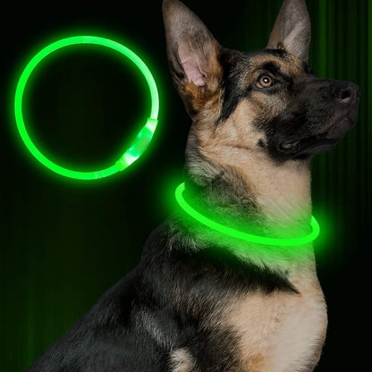 Husdjur blinkande krage USB uppladdningsbart glödande halsband Säkerhet krage Light upp kragar för natt gång elektrisk hund krage neon