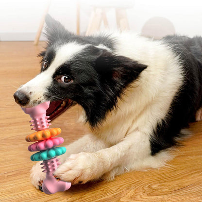 Jouet à mâcher pour chien, Type d'os, jouets de nettoyage des dents, os TPR indestructibles, jouets de dentition résistants aux morsures, produits pour animaux de compagnie