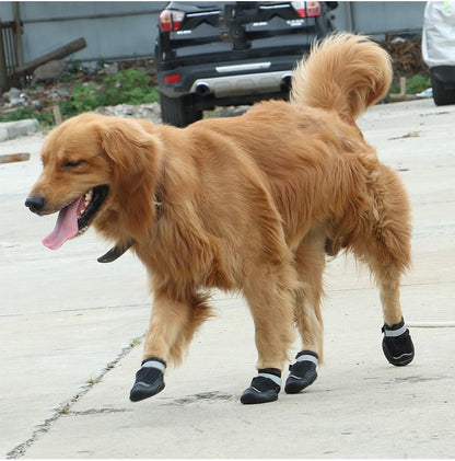 Chaussures pour animaux de compagnie résistantes à l'usure et respirantes pour gros chien