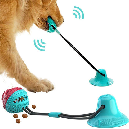 Jouets pour chiens, ventouse en silicone, jouet interactif pour chien, balle à mâcher, morsure, nettoyage des dents, brosse à dents, alimentation, fournitures pour animaux de compagnie 