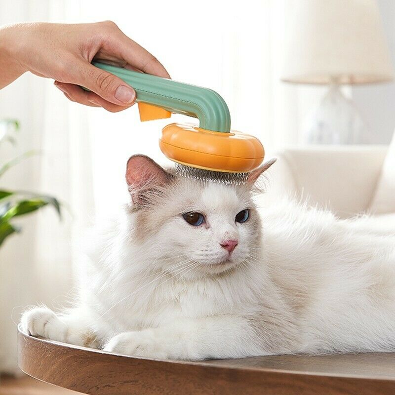 Brosse à citrouille pour animaux de compagnie, brosse de toilettage autonettoyante pour chiens, chats, chiots, lapins, brosse de toilettage pour chat, élimine en douceur le sous-poil lâche, tapis, brosse à poils emmêlés