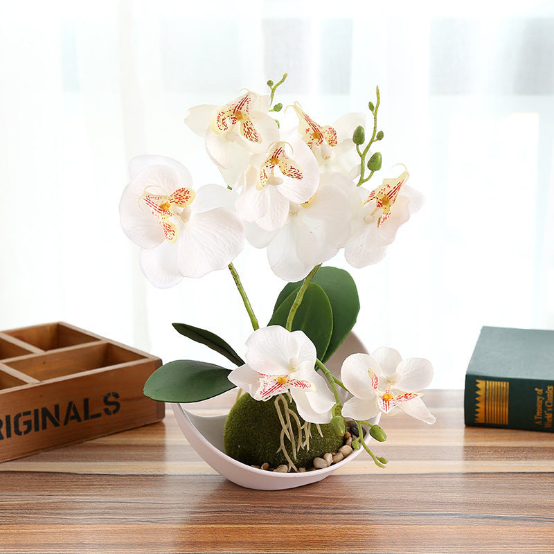 Decorative Plants